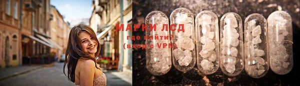 гидропоника Алзамай