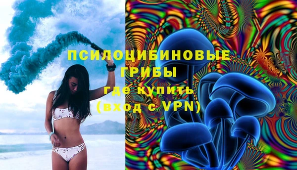 гидропоника Алзамай