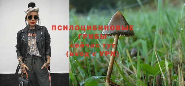 гидропоника Алзамай