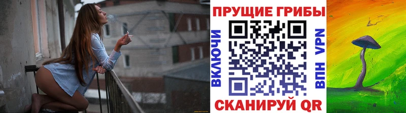 даркнет наркотические препараты  Чапаевск  Псилоцибиновые грибы мухоморы  наркошоп 
